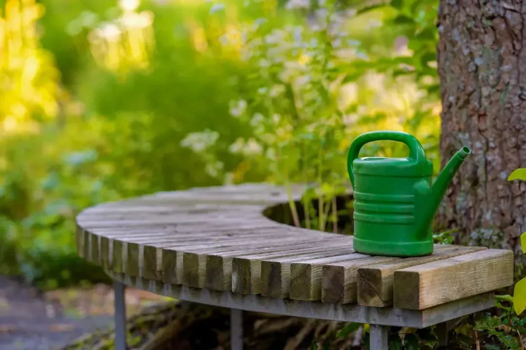 Préparer son jardin pour le printemps en douceur