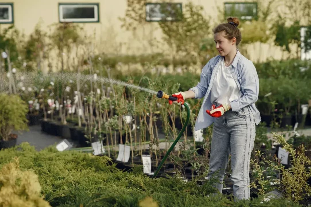 Choisir les bonnes plantes pour un jardin facile à entretenir