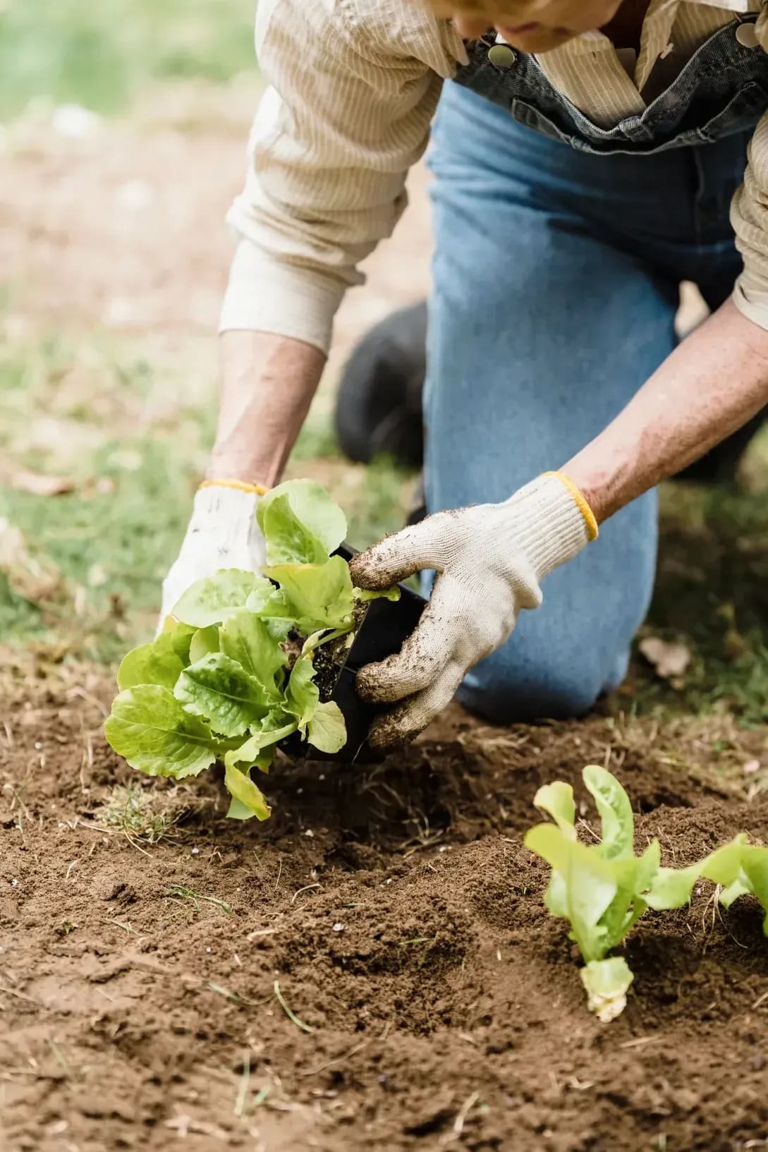 5 idées pour embellir vos espaces extérieurs cette saison