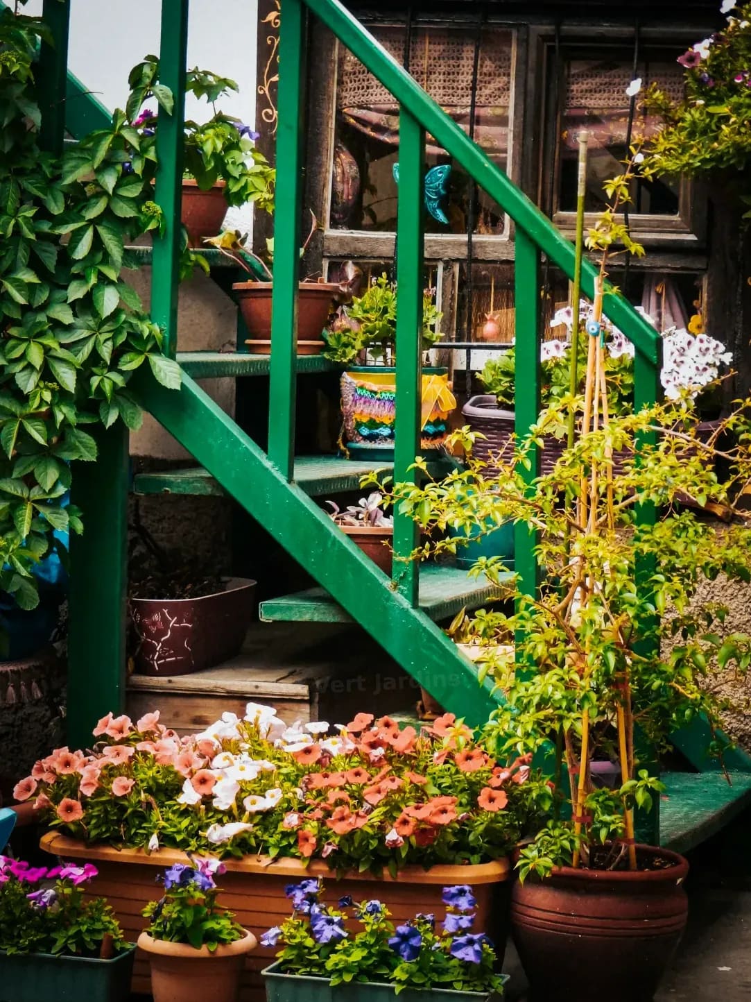 Éclat Vert Jardins 13