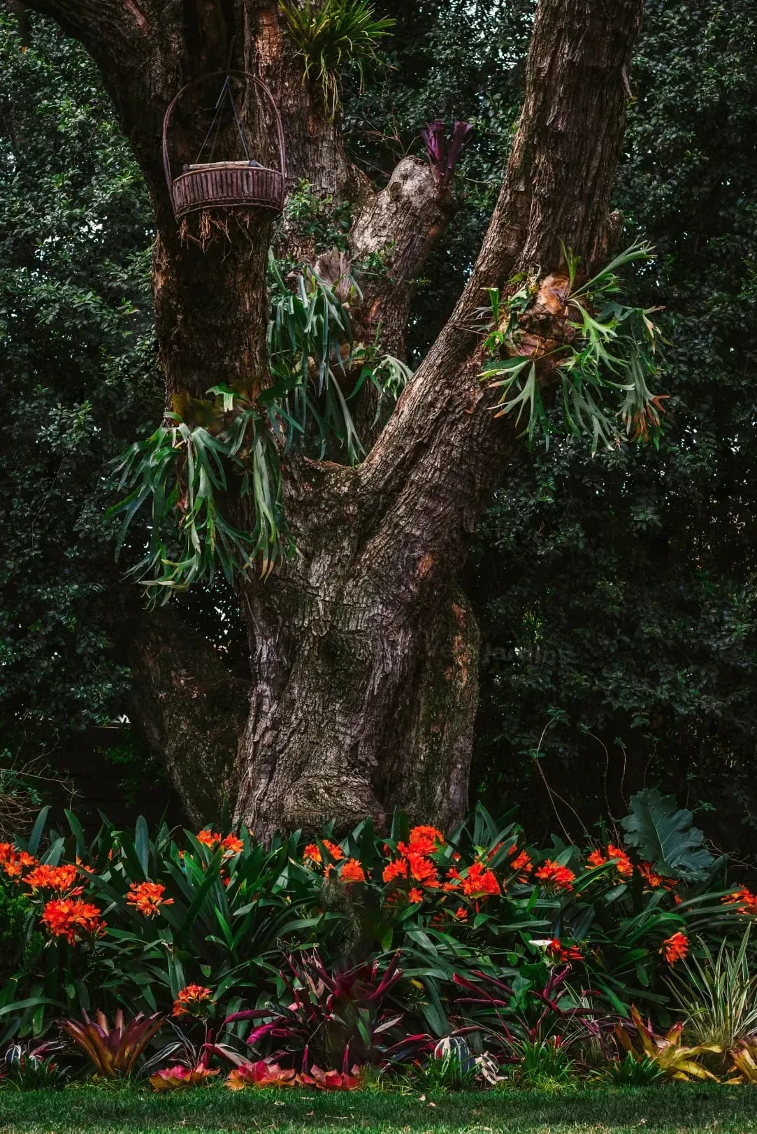 Éclat Vert Jardins 14