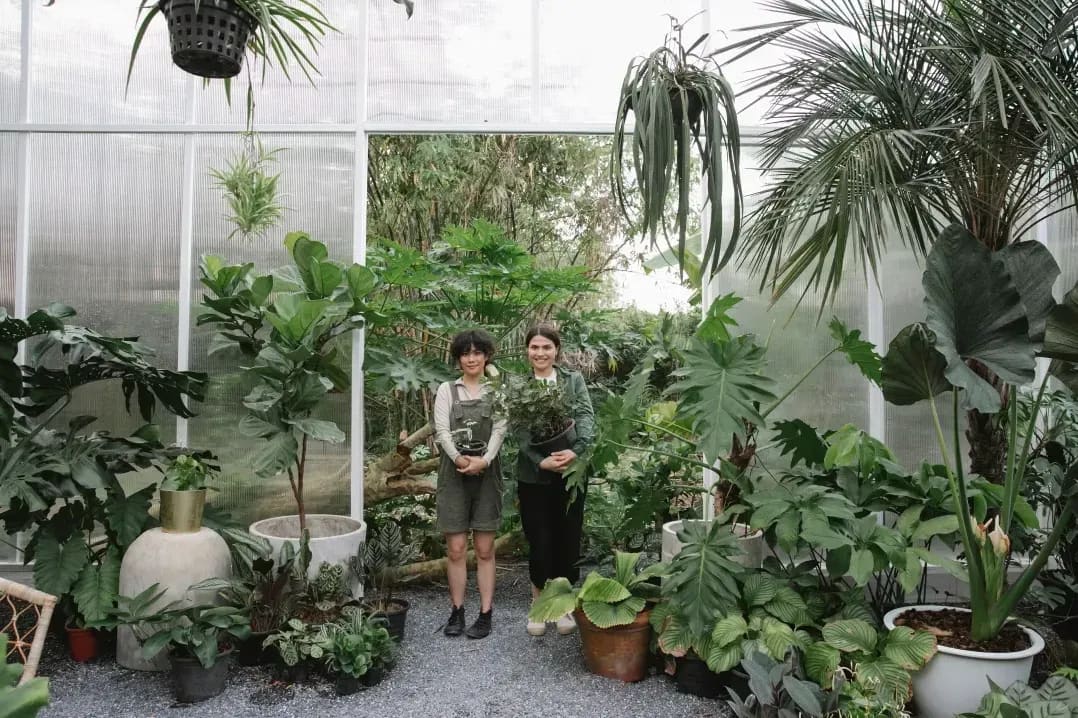 Éclat Vert Jardins 15
