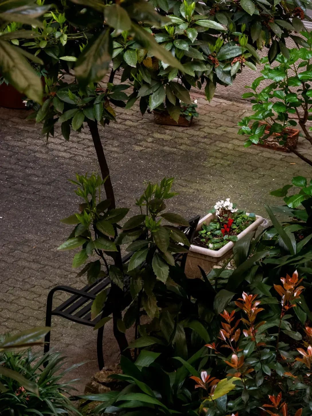 Éclat Vert Jardins 3