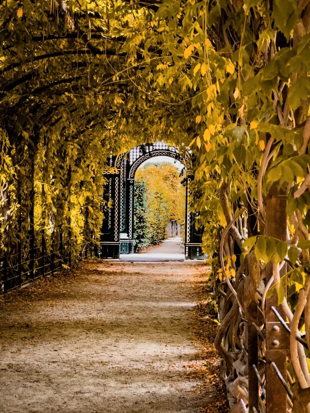 Éclat Vert Jardins 5