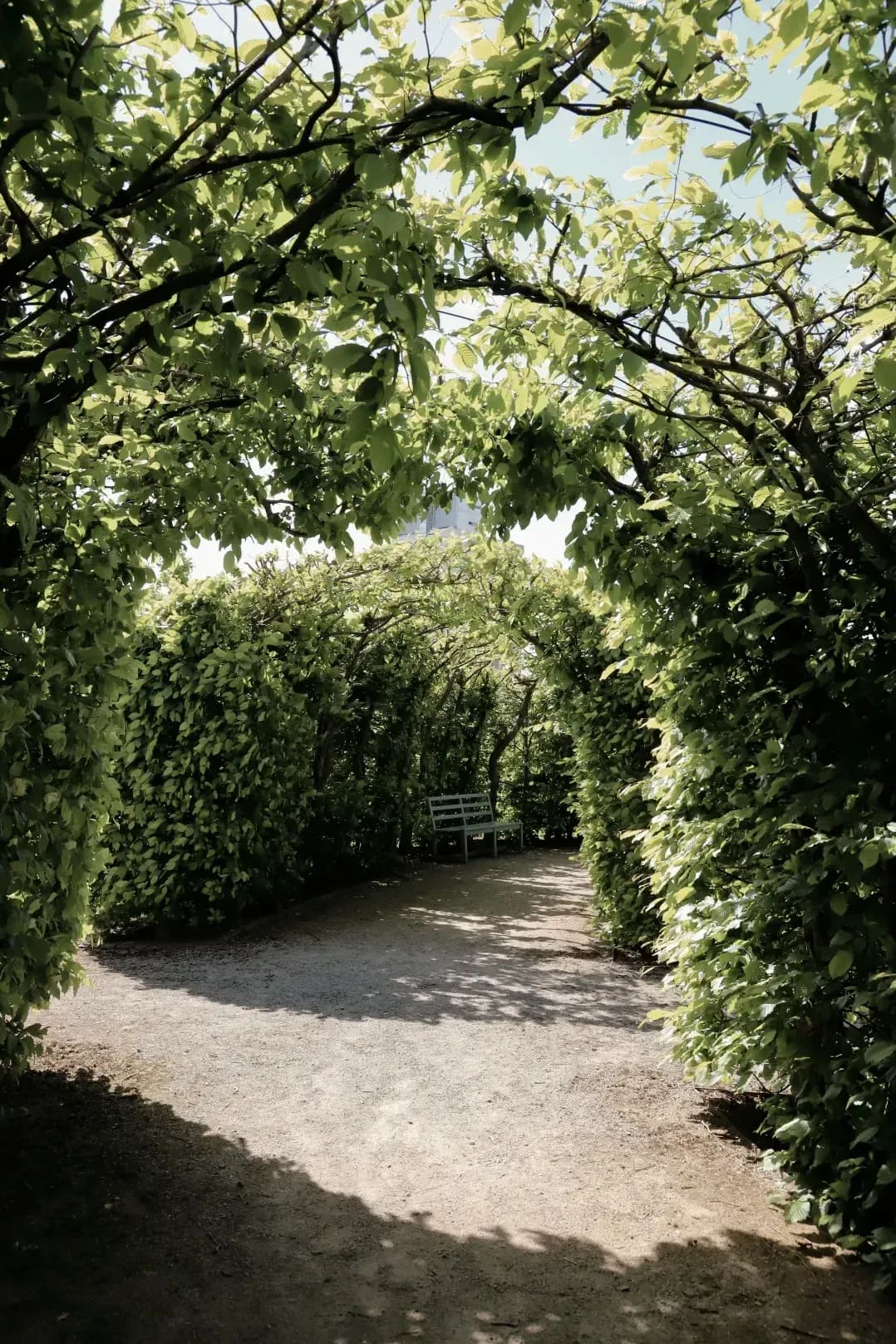 Éclat Vert Jardins 7