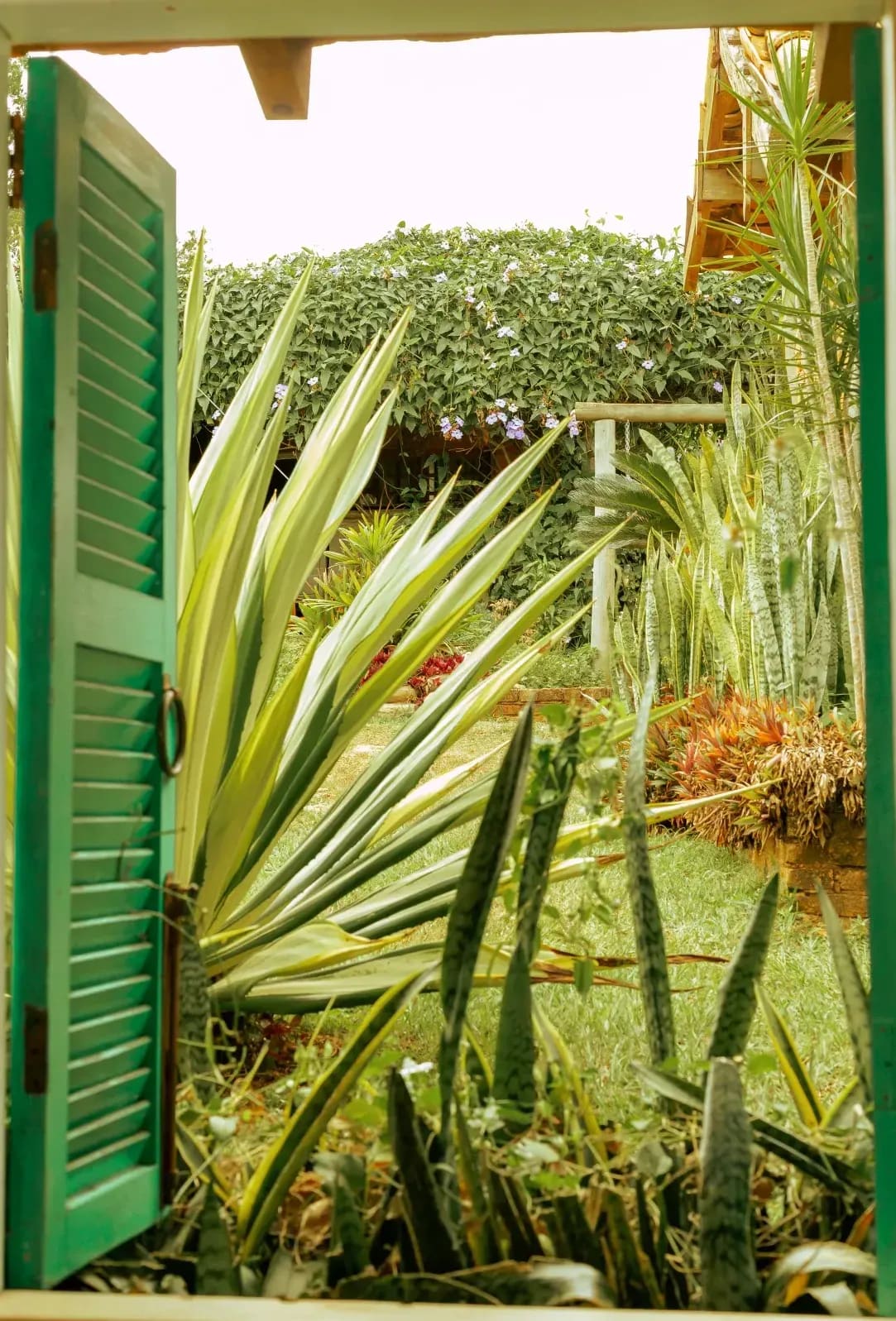 Nettoyage saisonnier des jardins et terrasses